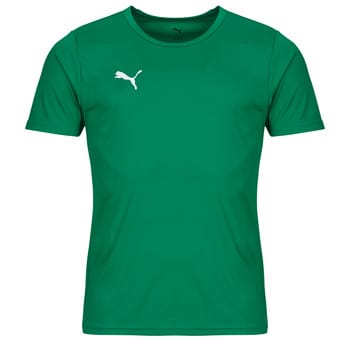 PUMA Sportshirt Heren - teamRISE - Groen - Polyester