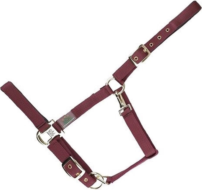Halster voor paarden USG Everyday
