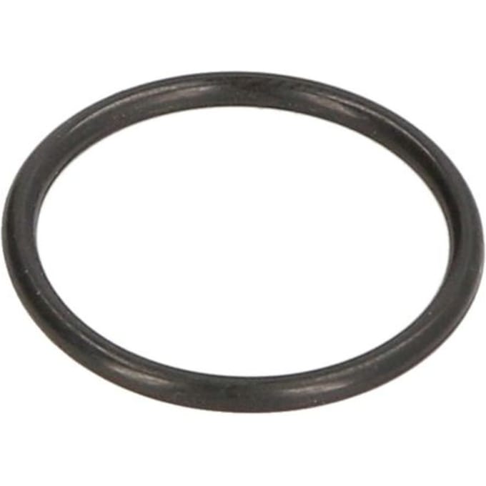 Versnellingsbak o-ring ZF 0634306200ZF