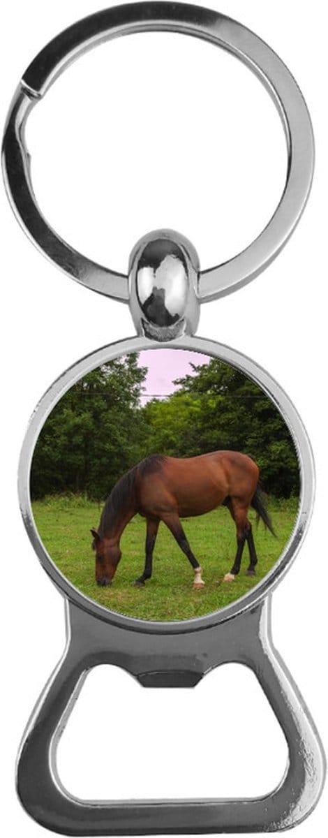 Bieropener Glas - Paard