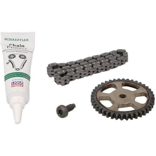 Schaeffler Ina Rotorset, oliepomp INA 558 0118 10