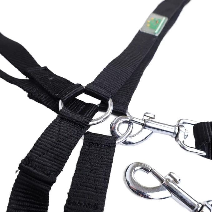 Gedrag longe voor paard USG