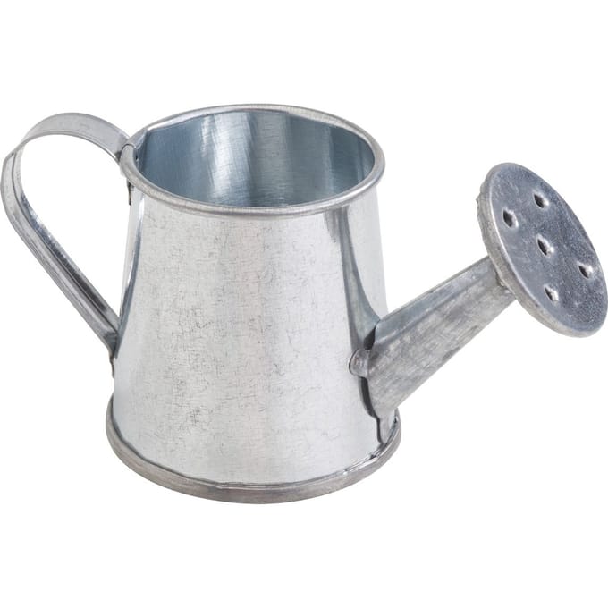 VBS Miniatuur Gieter