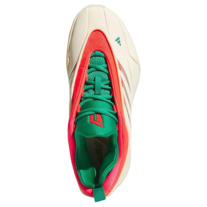 Basketbalschoenen adidas Dame 9