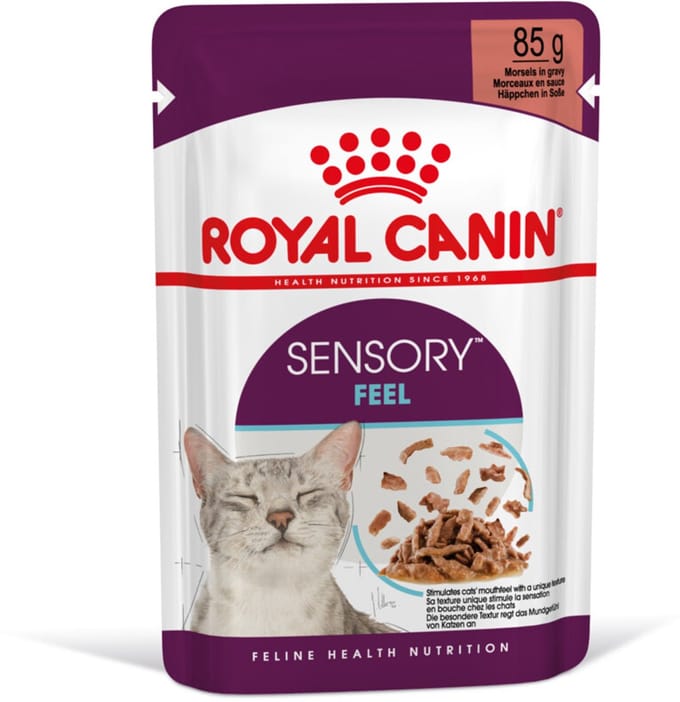Royal Canin - Sensory Feel Gravy Kattenvoer Nat - 48 x 85 gr