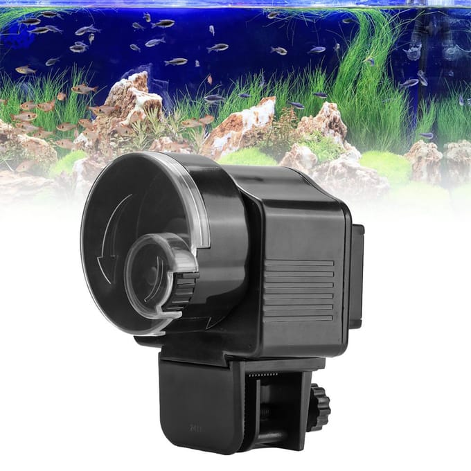 Aquarium Maison Aquarium Distributeur Automatique de Nourriture Minuteur Noir gray