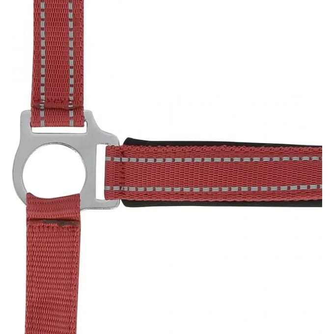 Halster voor paarden Norton Reflective