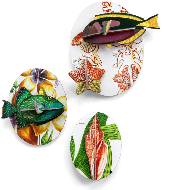 Collectors box Fishes - vol 1