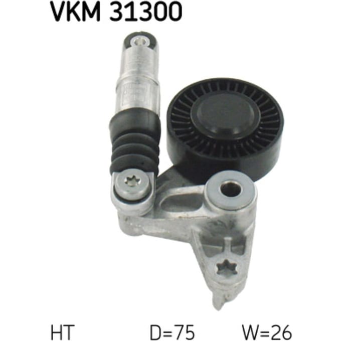 Riemspanner, Poly V-riem SKF VKM 31300