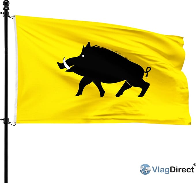 Evergemse vlag - Gemeente Evergem vlag - 90 x 150 cm.