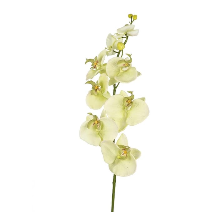 Kunst bloem orchidee creme 85 cm