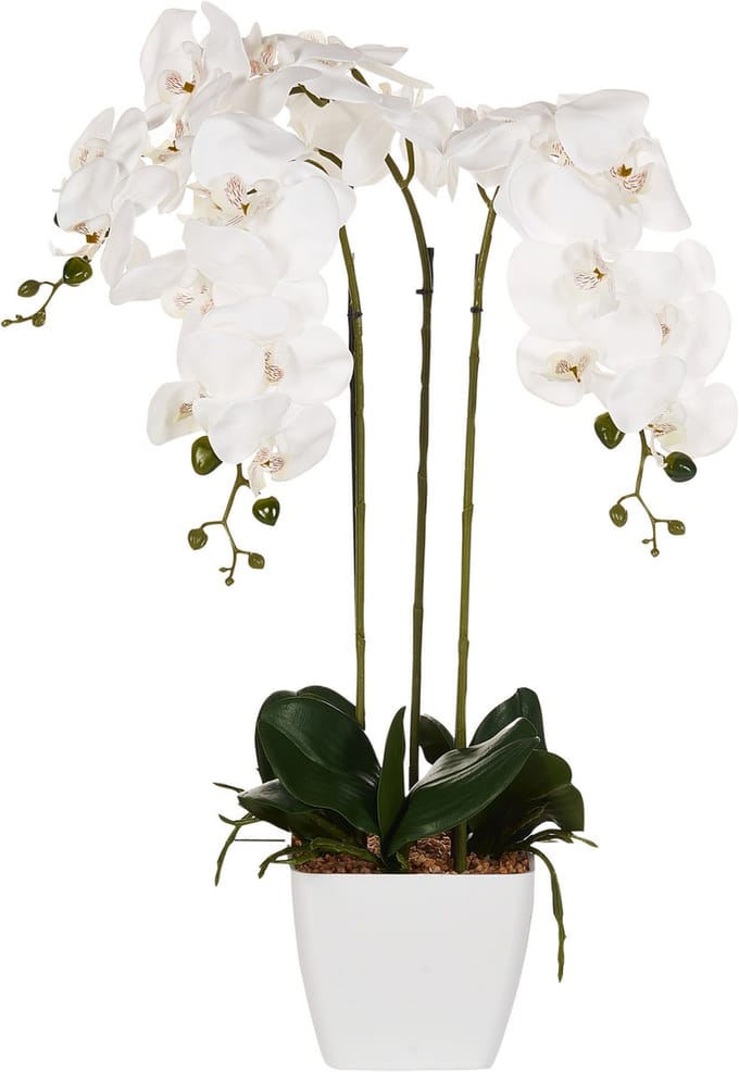 ORCHID - Kunstplant - Wit/Groen - 59 cm - Synthetisch