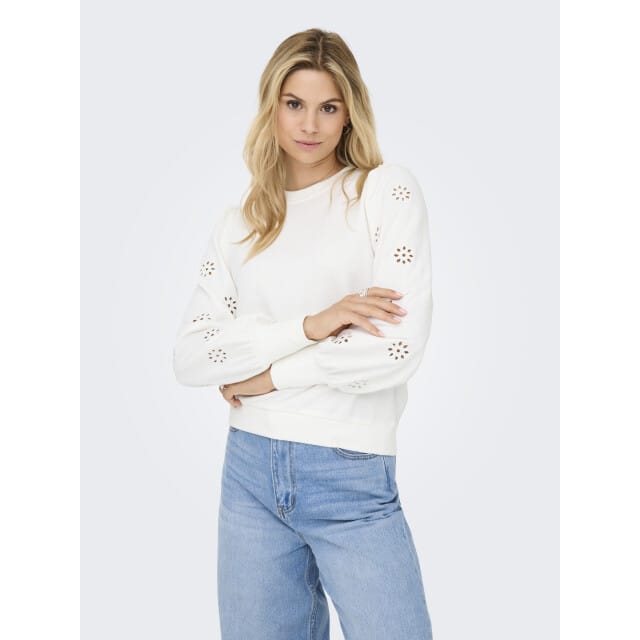 ONLY - ONLFEMME L/S UB SWT NOOS - Dames Sweater - Maat M