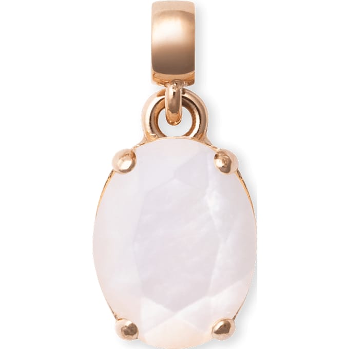 DANIEL WELLINGTON ELEMENTAL DW00401460 ROSEGOUDKLEURIGE BEDEL MET PARELMOER 1 STUK
