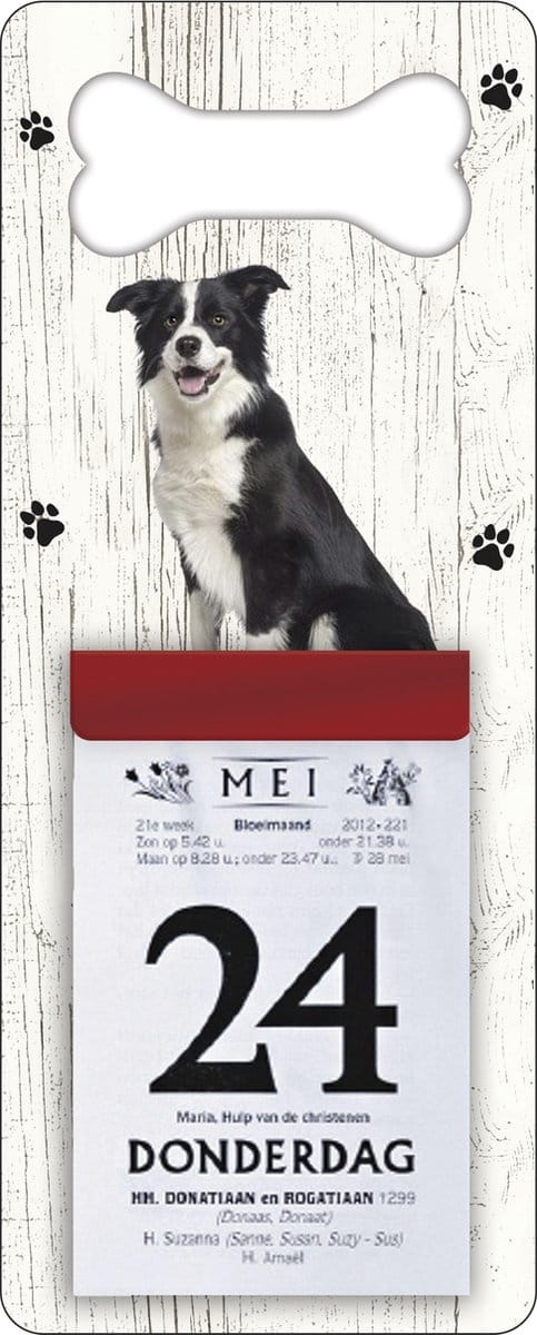 Scheurkalender 2027 Hond: Bordercollie