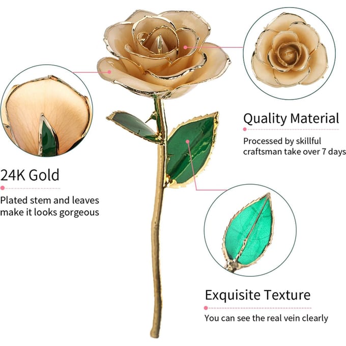 Langstelige gedipte 24k gouden roos in geschenkdoos met standaard Geschenk voor haar ( Roos met Standaard) beige