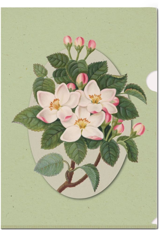 L-mapje A4 formaat: Botanical Treasures, James Bolton, Chester Beatty - 3 Stuks