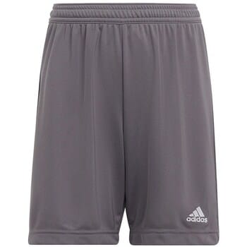 adidas Performance Entrada 22 Short - Kinderen - Grijs - 140