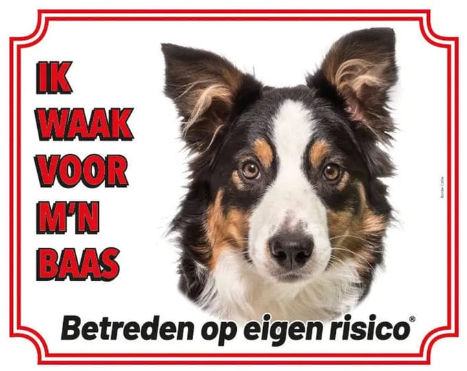 Border Collie Waakbord