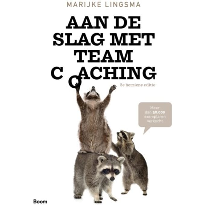 Aan De Slag Met Teamcoaching - Marijke Lingsma