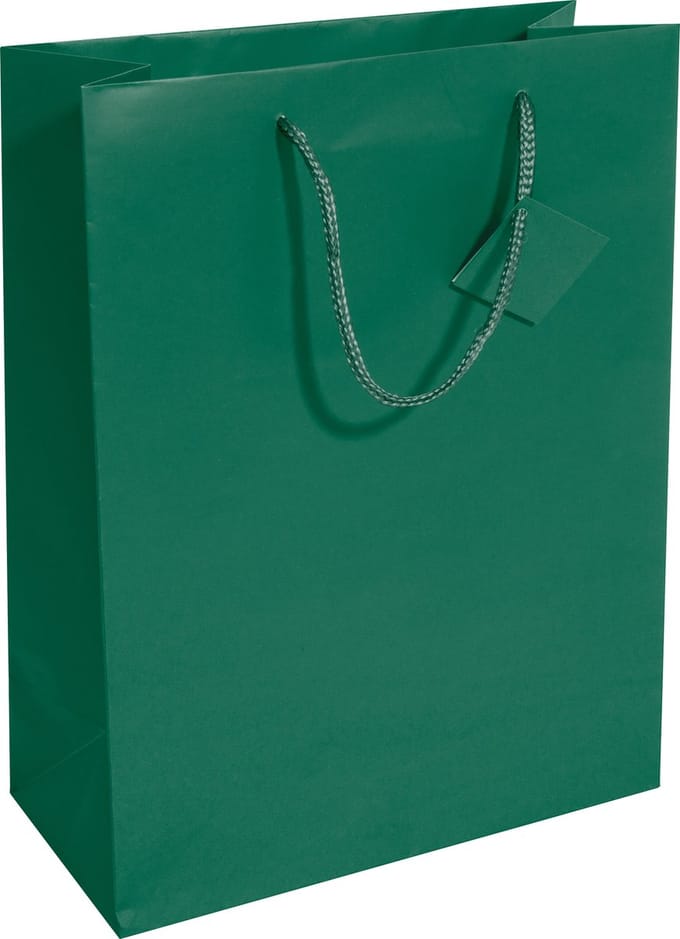 Sigel cadeautas papieren tas opaal groen 26x33x12cm