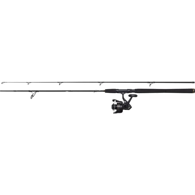 Spinhengel Penn Wrath II 60-120 g