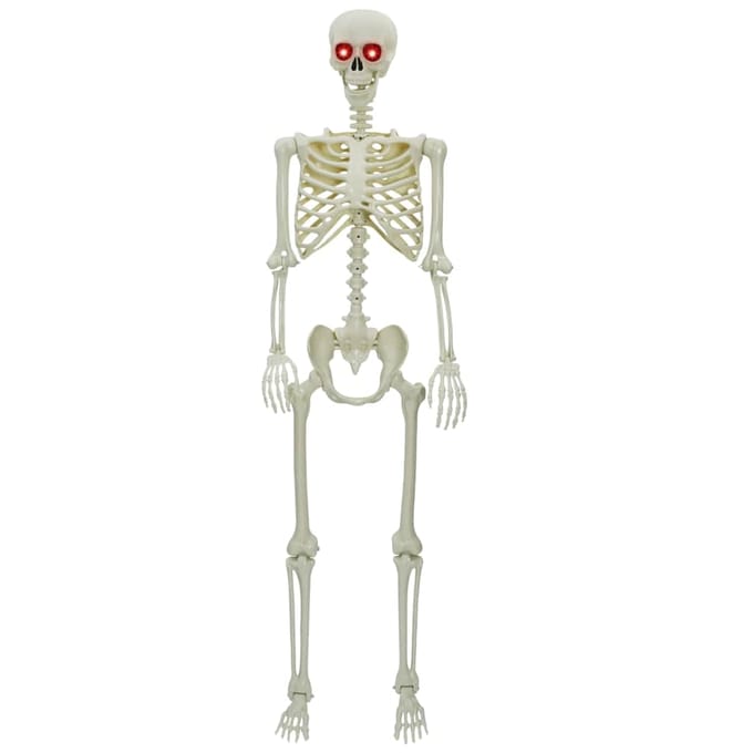 vidaXL - Halloween - Skeleton - Wit - 155 - x - 38,5 - cm - Polypropyleen