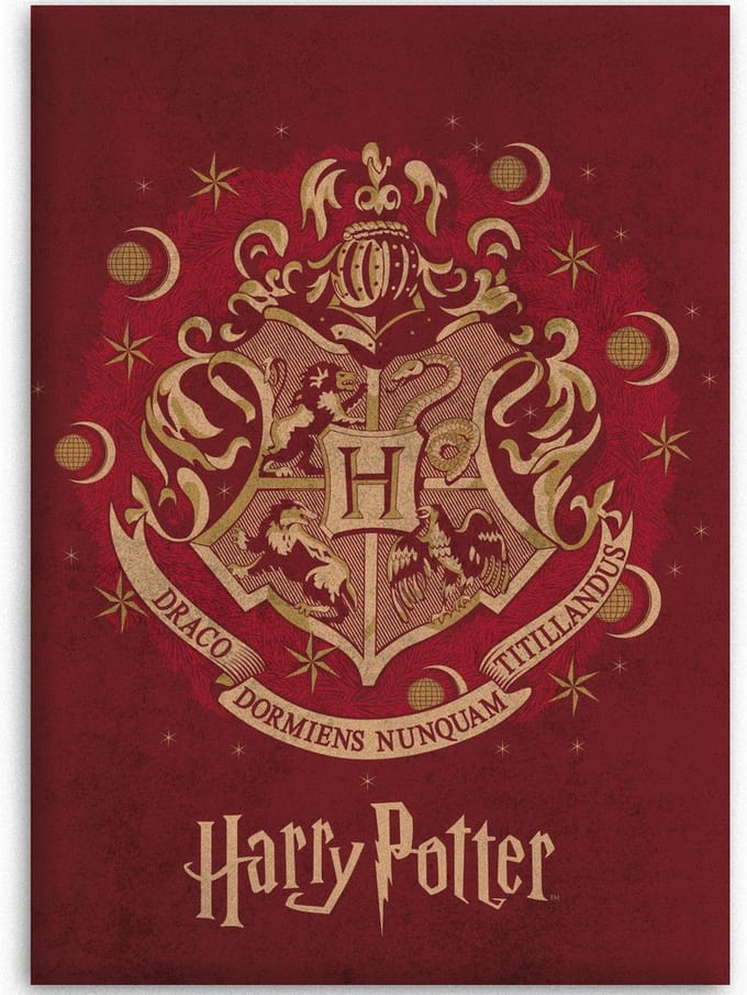 Harry Potter - Fleece - Plaid - 110x140 cm - Rood