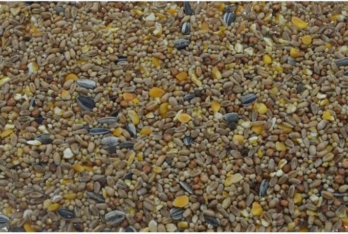 Tweetfeed Strooivoer 1KG