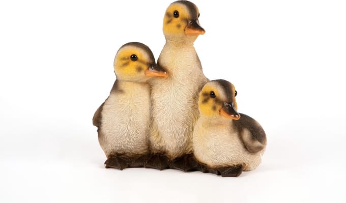 drie rustende eendjes