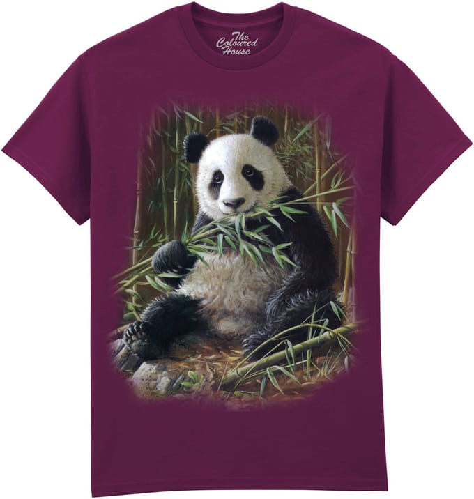 Bamboo Panda The Coloured House T-shirt M