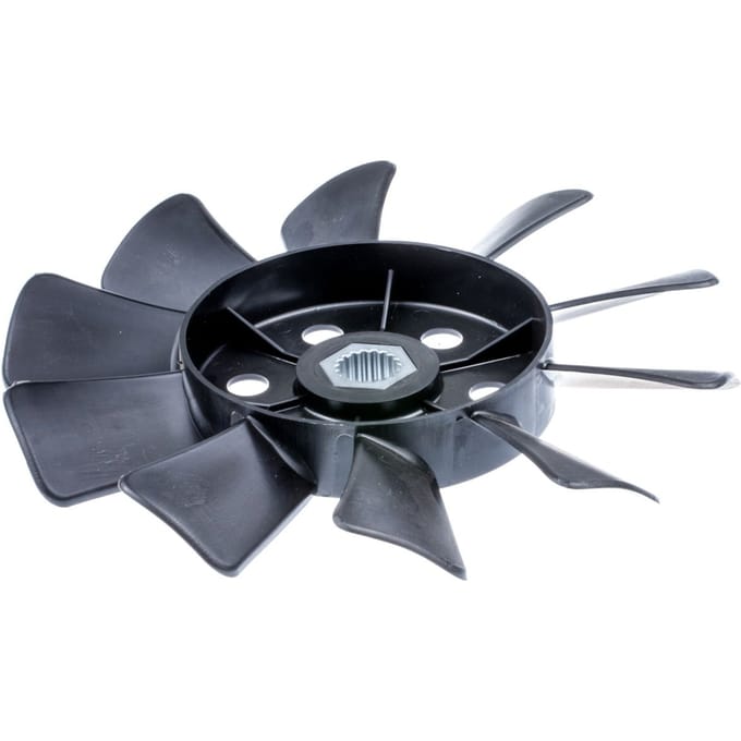 Fan