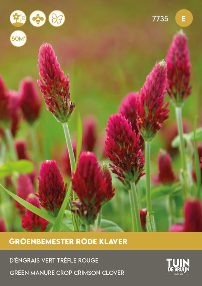 Tuin de Bruijn Rode Klaver – Groenbemester – 70 g – Stikstofbinder