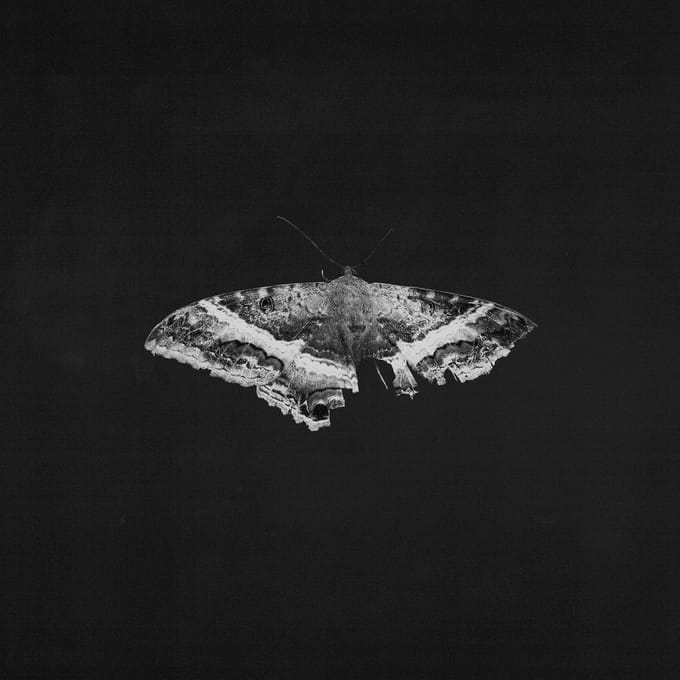 Kendrick Lamar - To Pimp A Butterfly (2 LP) (10th Anniversary Edition)