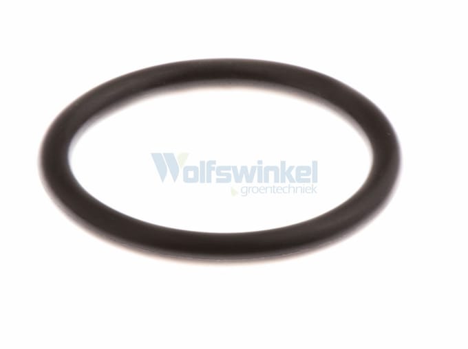 O-ring  29,74x3,53