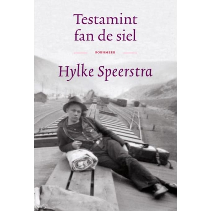 Testamint Fan De Siel - Hylke Speerstra