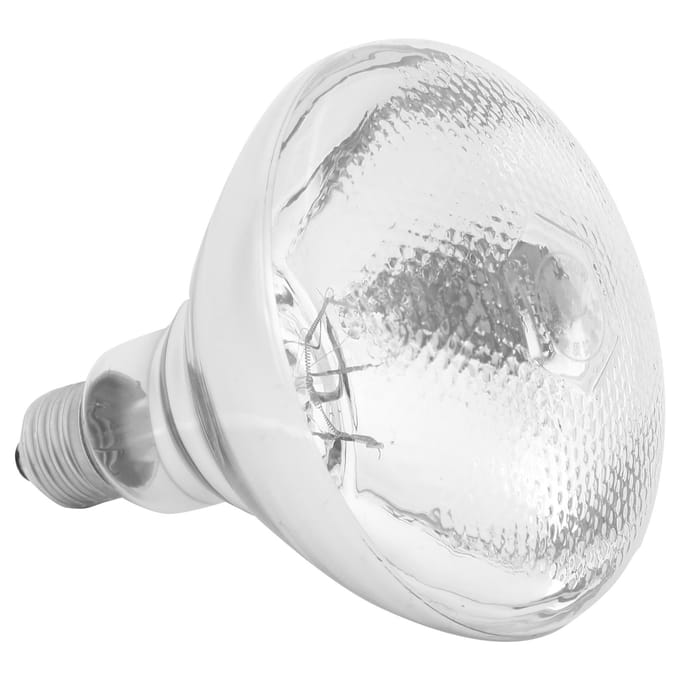 Kweekverwarmingslamp Instelbare temperatuur Infrarood Kweekisolatielamp 220V‑240V white