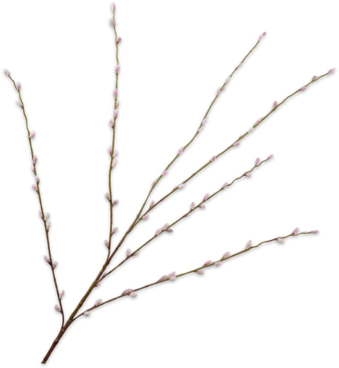 Silk-ka Kunstbloem-Zijden Bloem Wilgentak Roze 111 cm