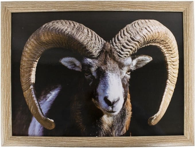 Mars & More Schootkussen - laptray - ram / schaap print - 33 x 43 cm - ontbijt op bed - lezen