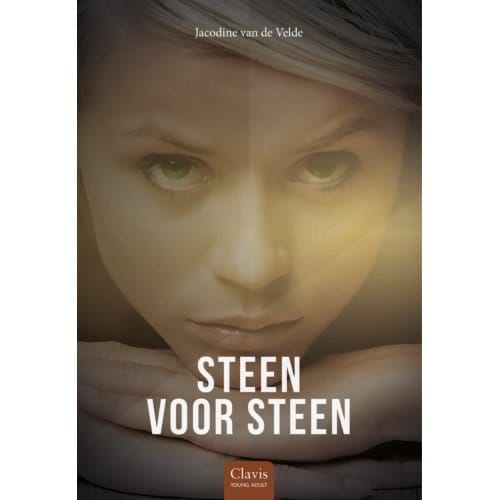 Steen Voor Steen - Jacodine van de Velde