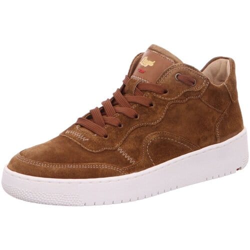 Sneakers Lloyd -
