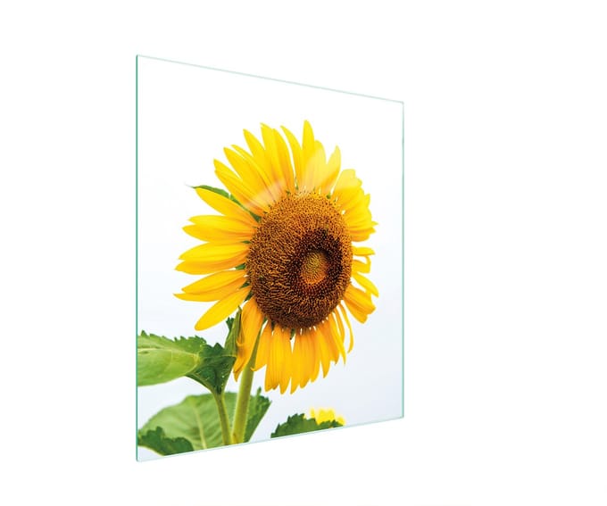 TMK ArtDeko Serie - Snijplank 45x52 cm - Glas - Kleur: Bloem