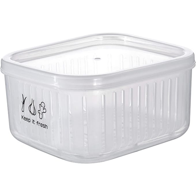 Voedselopbergdoos Dubbele Laag Multifunctioneel Gehakte Groene Ui Gember Knoflook Transparante Container white