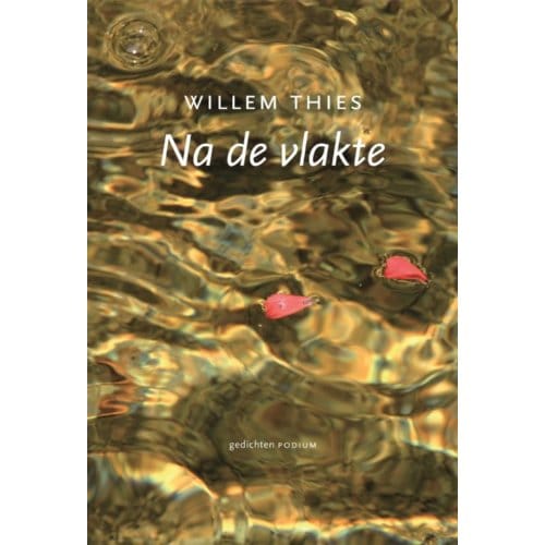 Na De Vlakte - W. Thies