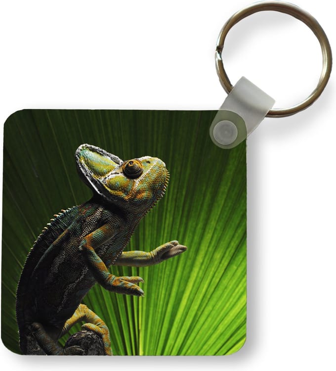 Sleutelhanger - Uitdeelcadeautjes - Kameleon met een groen blad - Plastic