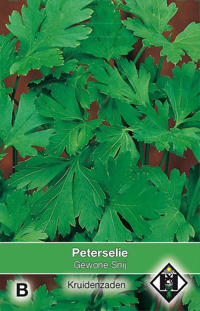 2 stuks Peterselie Gewone SnijVan Hemert & Co