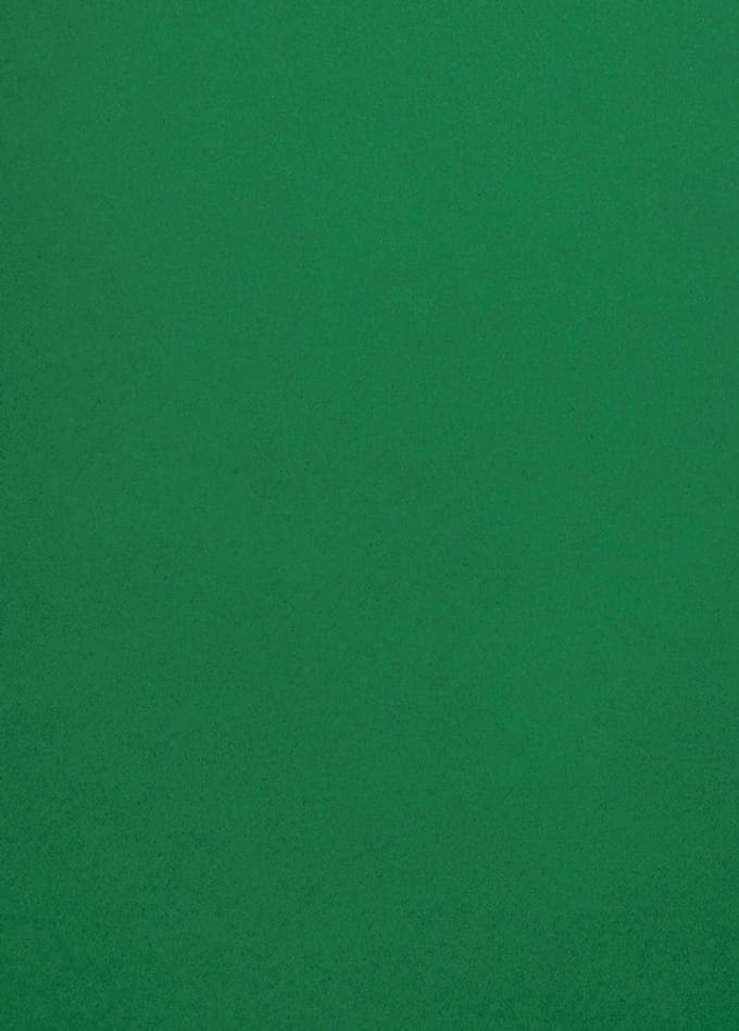 Netuno - groen glad gekleurd papier - A4 - 21 x 29,7 cm - 10 vellen - 120 gram - Malmero Amazone