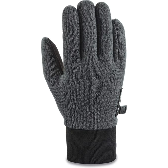 Skihandschoenen Dakine Apollo