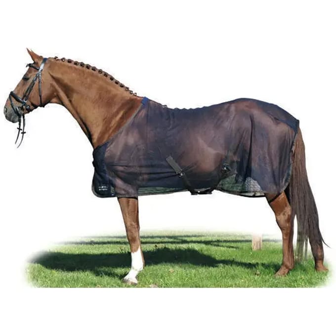 Paardenvliegendeken HKM Santos
