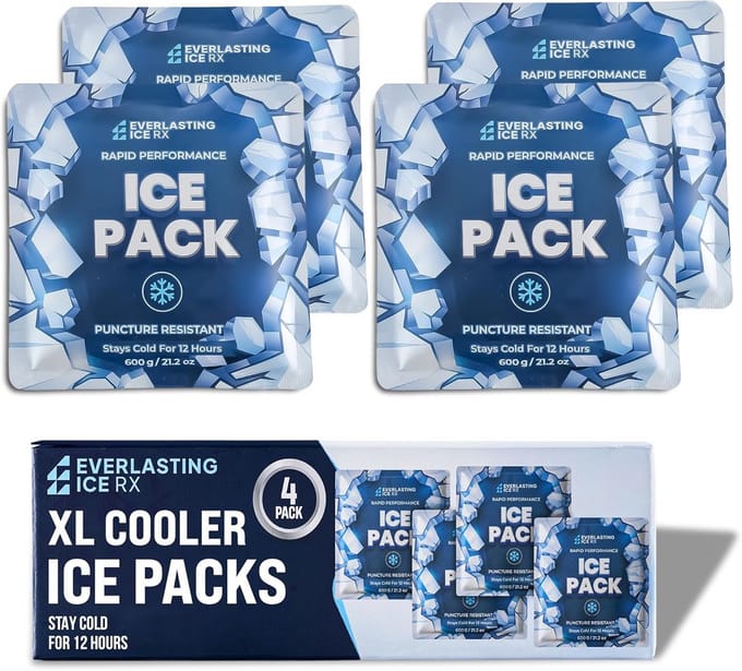 Herbruikbare Koelelementen voor Lunchbox en Koelbox - 600g Ijspacks (4 Stuks)